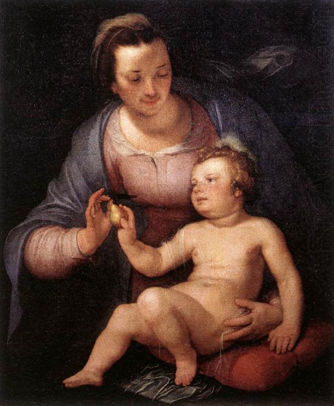 CORNELIS VAN HAARLEM Madonna and Child  vinxg china oil painting image